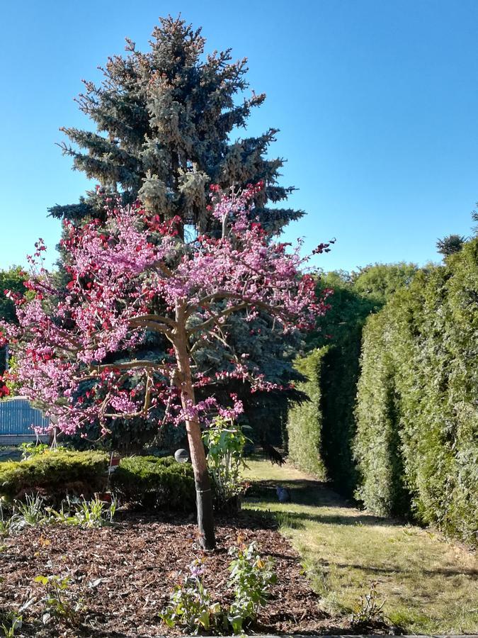 Homestay Svatá Exteriér fotografie